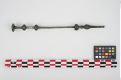 Foto von Bronzemehrkopfnadel (NHMW-PRAE-025729)